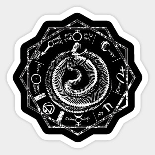 Serpent Magic Skeleton Astrological Sacred Geometry Totem Sticker